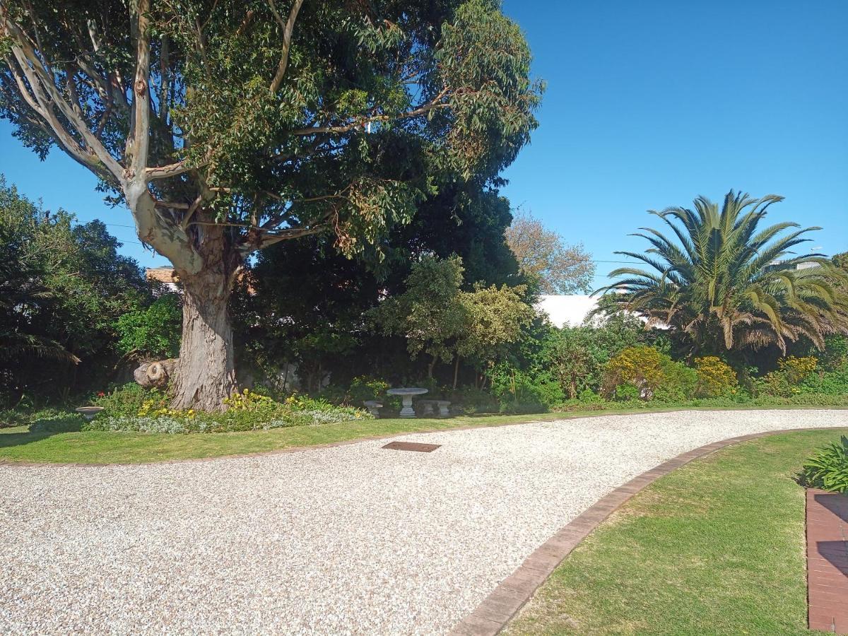 Barford Haven Self Catering Apartments Hermanus Exterior photo